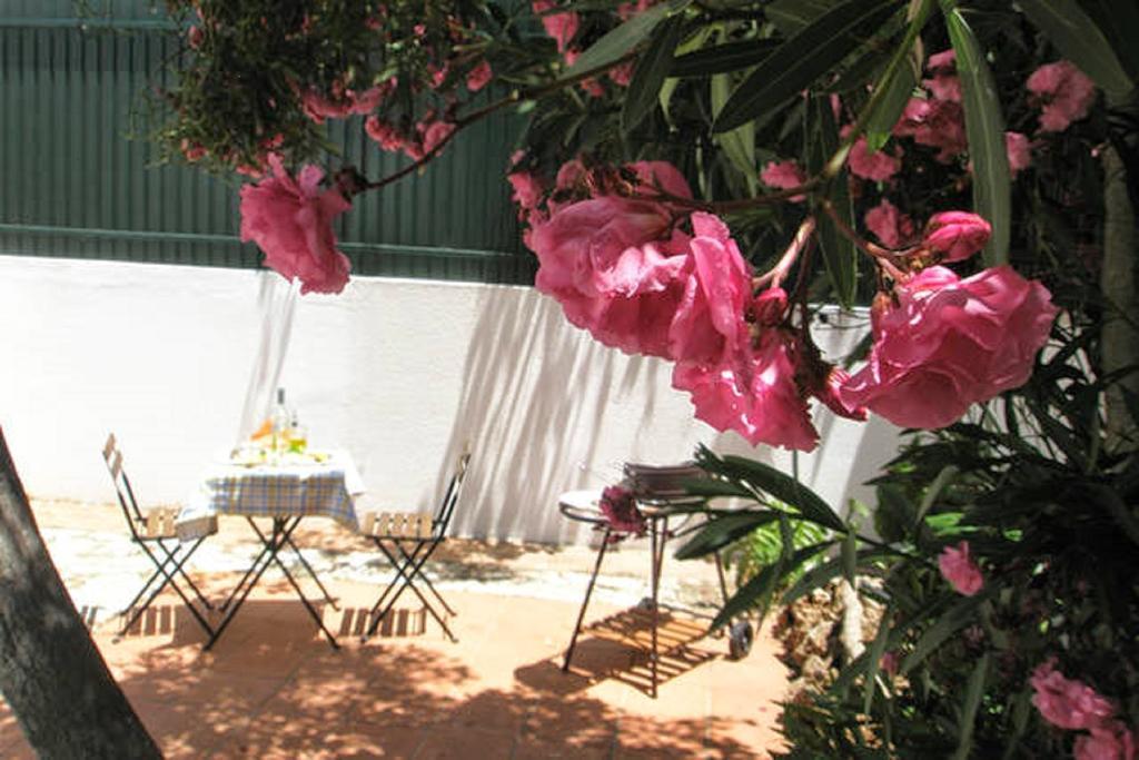 Roaz De Bandeira Guesthouse Olhao Exterior photo